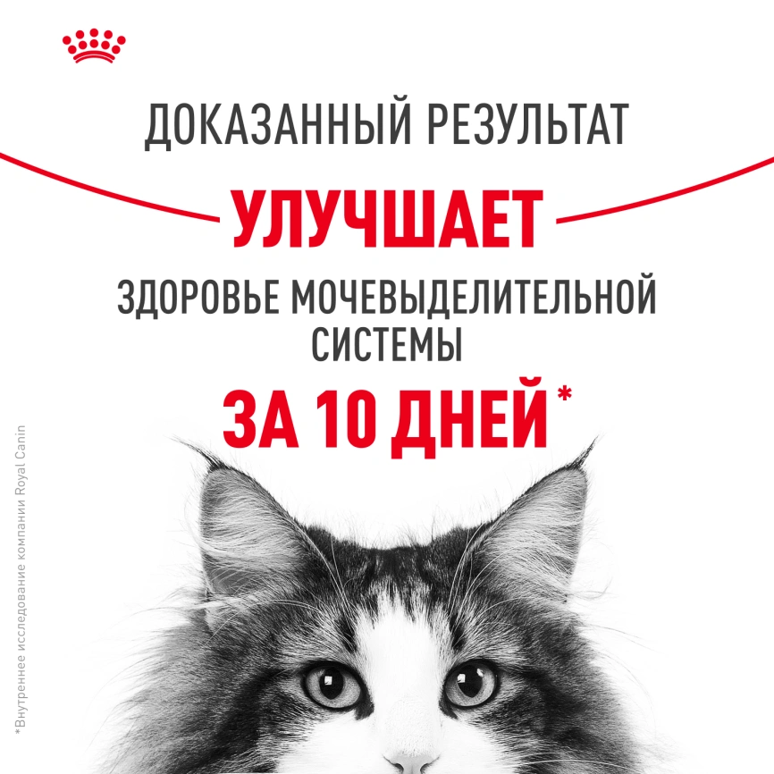Сухой корм Royal Canin Urinary Care для кошек для профилактика МКБ, 4 кг фото 4