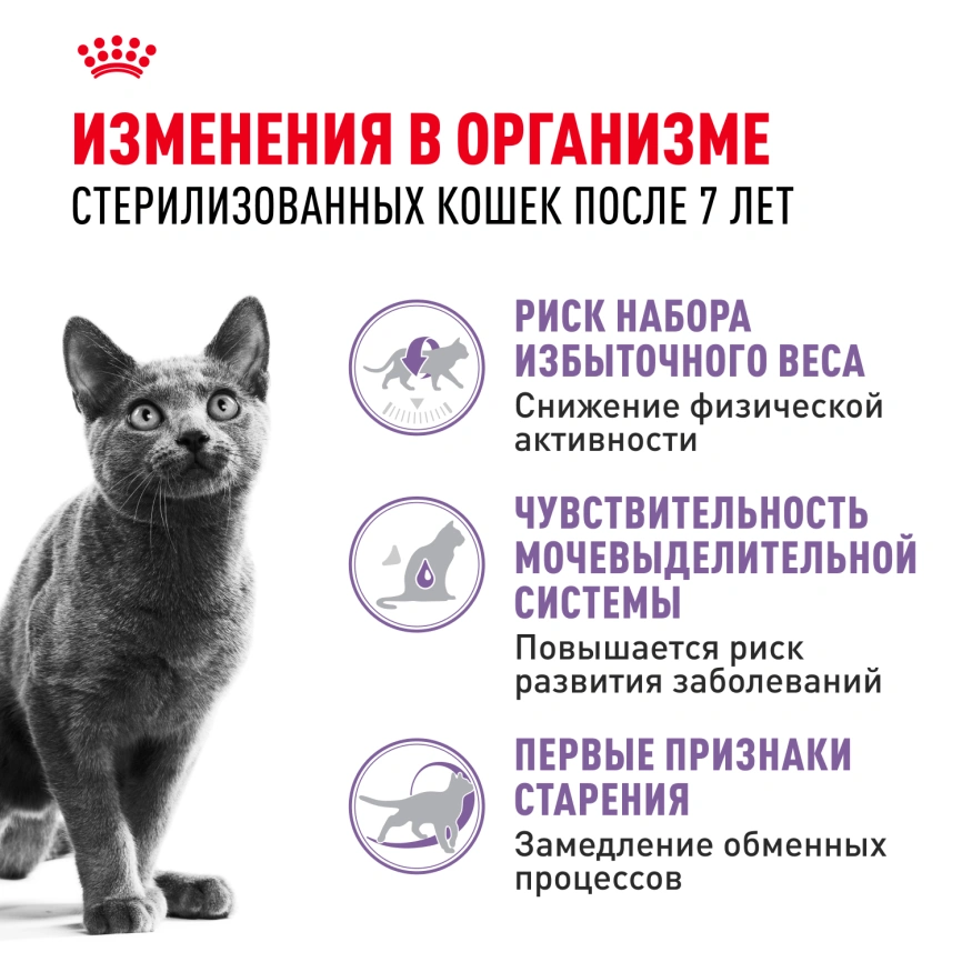 Сухой корм Royal Canin Sterilised 7+ для стерилизованных кошек и кастрированных котов, 400 г фото 2