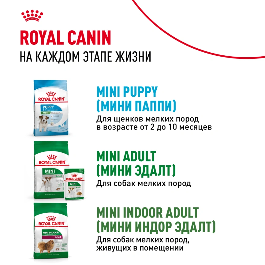 Сухой корм Royal Canin Mini Starter Mother & Babydog для щенков и кормящих сук, 1 кг фото 11