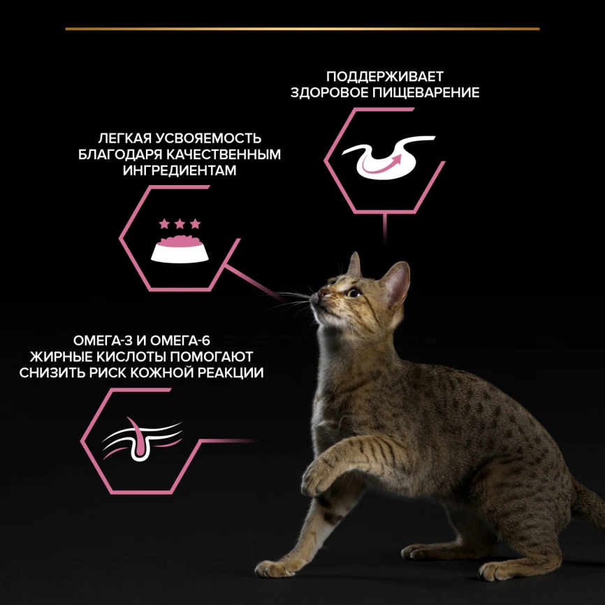 Влажный корм Purina Pro Plan Delicate для взрослых кошек с чувствительным пищеварением, с индейкой в соусе, 85 г фото 2