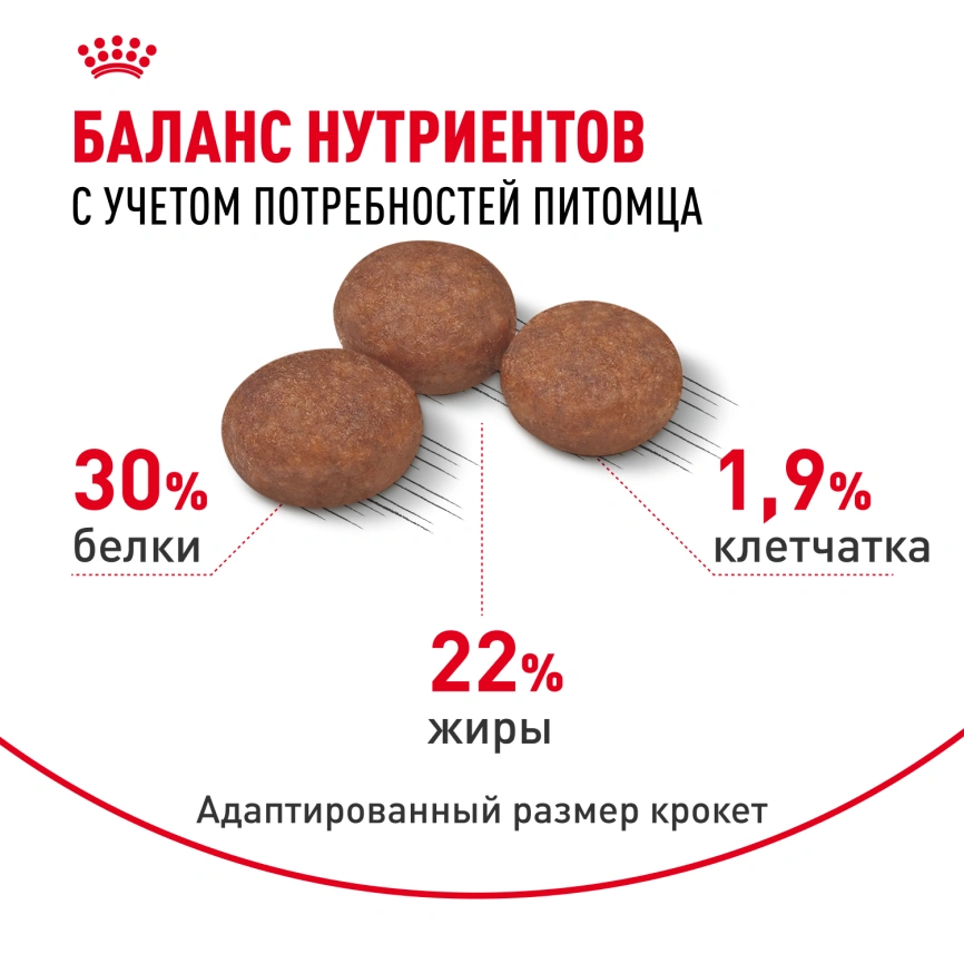 Сухой корм Royal Canin Mini Digestive Care для собак, 1 кг фото 4