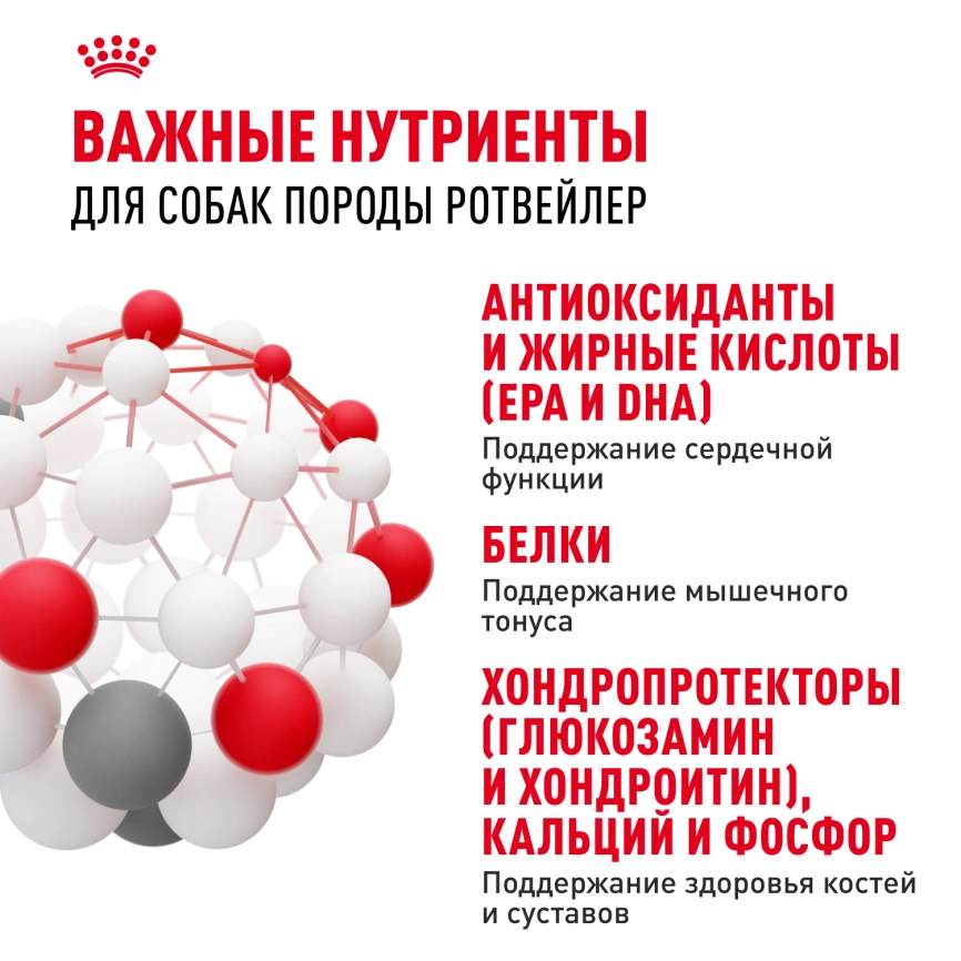 Сухой корм Royal Canin Rottweiler Adult для взрослых собак, 12 кг фото 5