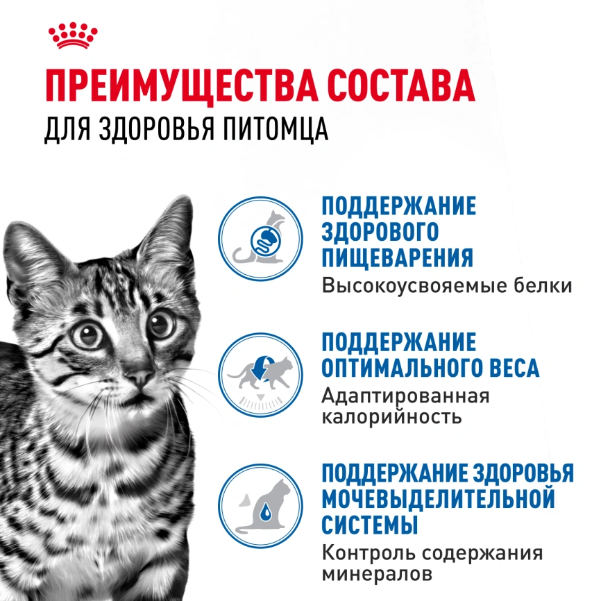 Влажный корм Royal Canin Indoor в соусе для кошек, живущих в помещении, пауч, 85 г фото 3