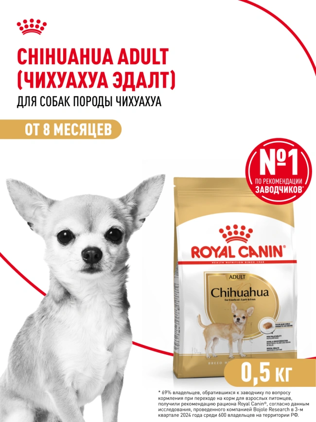 Сухой корм Royal Canin Chihuahua Adult для собак породы чихуахуа, 500 г фото 17