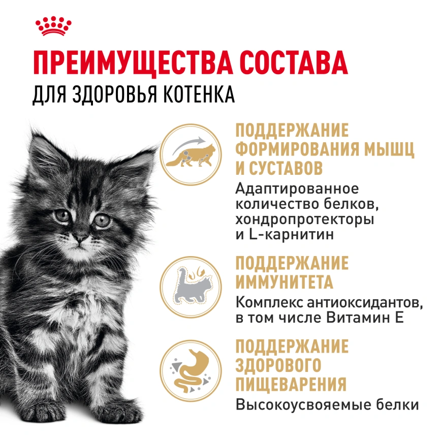 Влажный корм Royal Canin Maine Coon Kitten в соусе для котят породы мейн-кун и других крупных пород старше 3 месяцев, пауч, 85 г фото 3