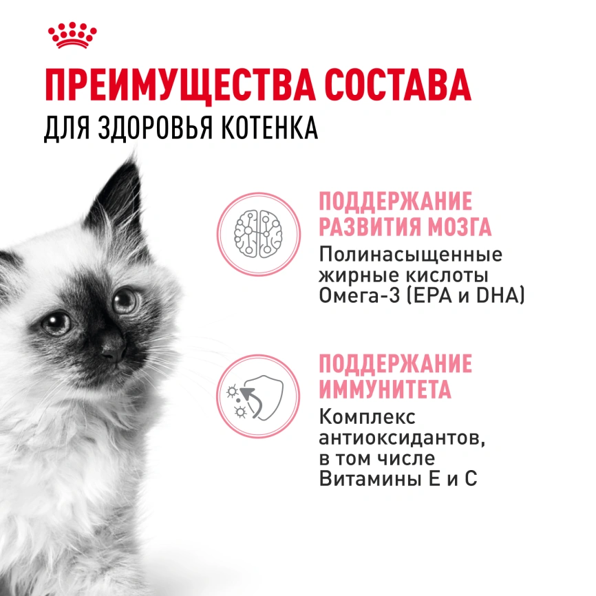 Влажный корм Royal Canin Kitten в соусе для котят до 12 месяцев, пауч, 85 г фото 10