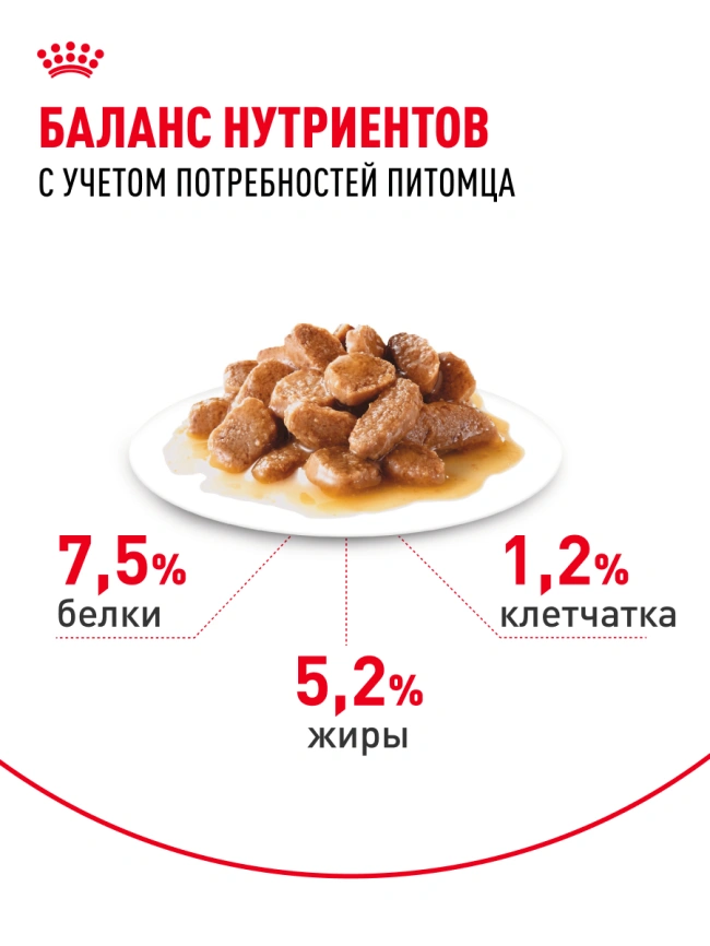 Влажный корм Royal Canin Mini Adult в соусе для взрослых собак мелких пород старше 10 месяцев, пауч, 85 г фото 4