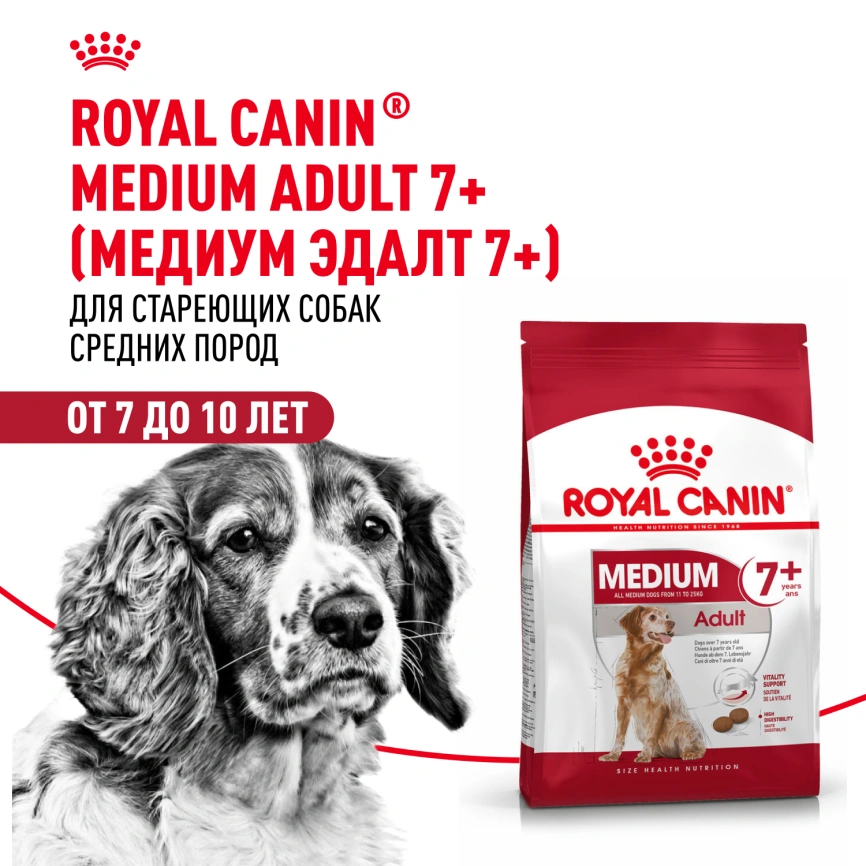 Сухой корм Royal Canin Medium Adult 7+ для собак, 15 кг фото 13