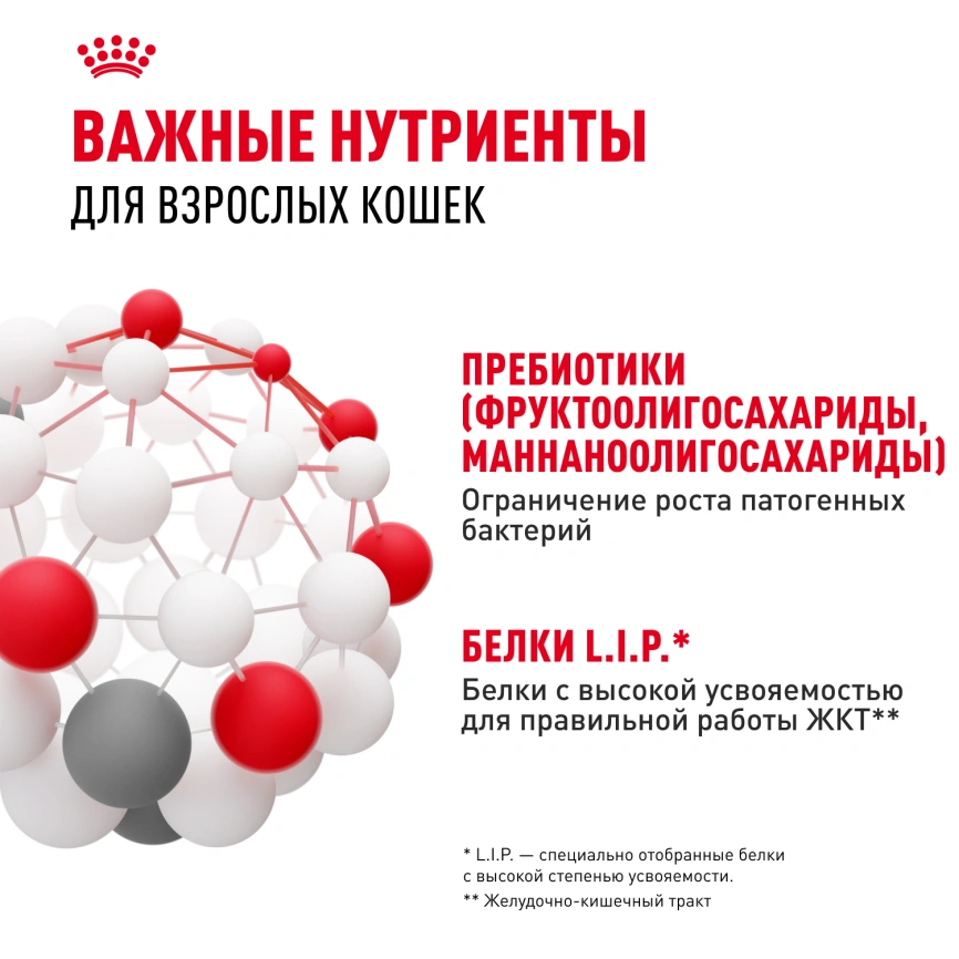 Сухой корм Royal Canin Digestive Care для кошек, 2 кг фото 5