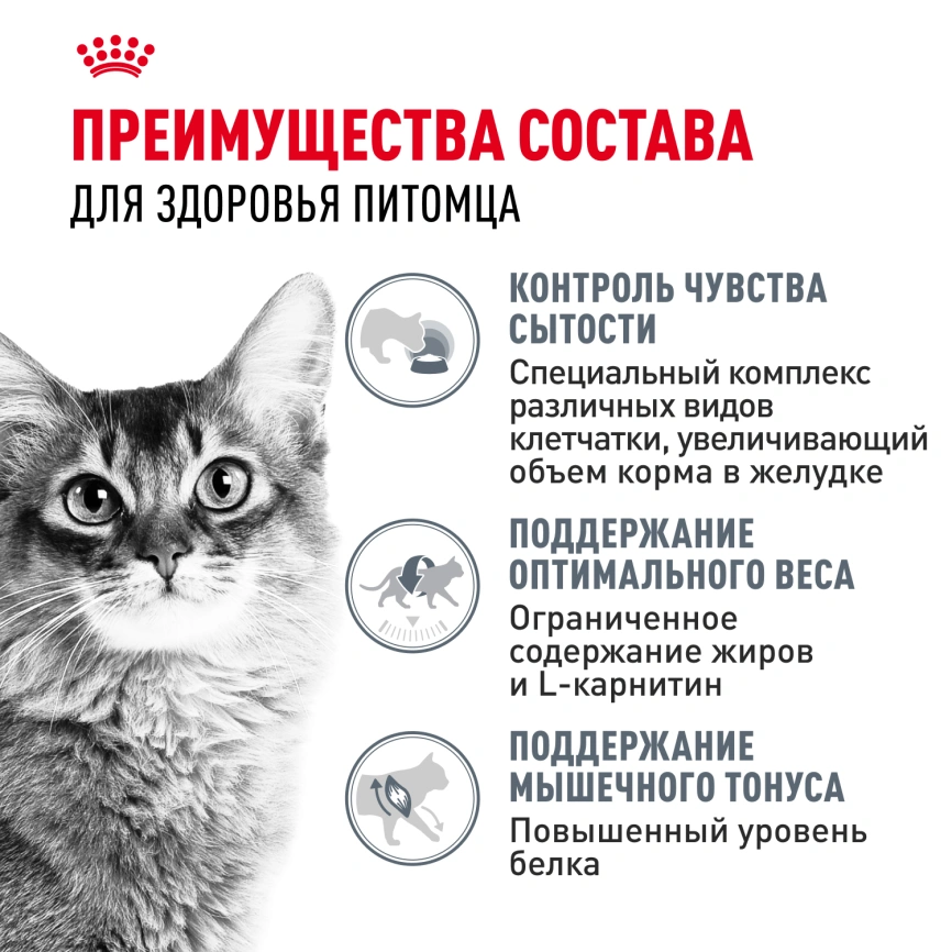 Влажный корм Royal Canin Light Weight Care в желе для взрослых кошек, склонных к полноте, пауч, 85 г фото 4