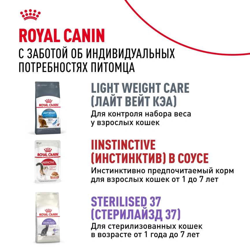 Влажный корм Royal Canin Indoor в желе для кошек, живущих в помещении, пауч, 85 г фото 10