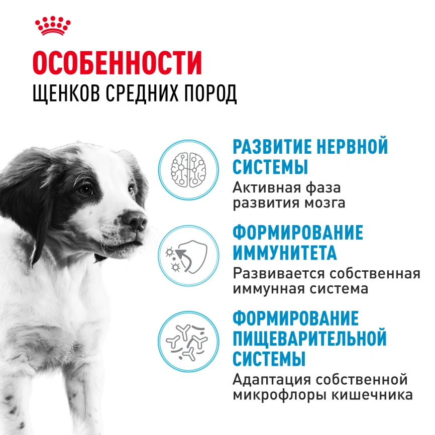 Сухой корм Royal Canin Medium Puppy для щенков, 14 кг фото 2