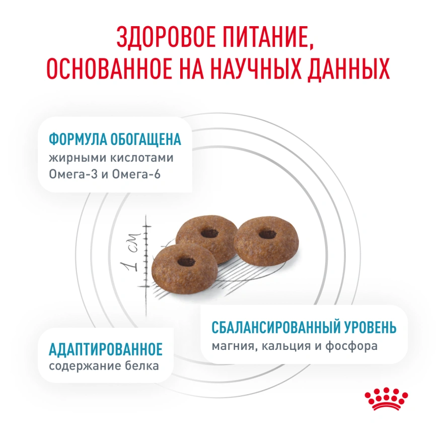 Сухой корм Royal Canin Skin & Coat для кошек, 3.5 кг фото 4