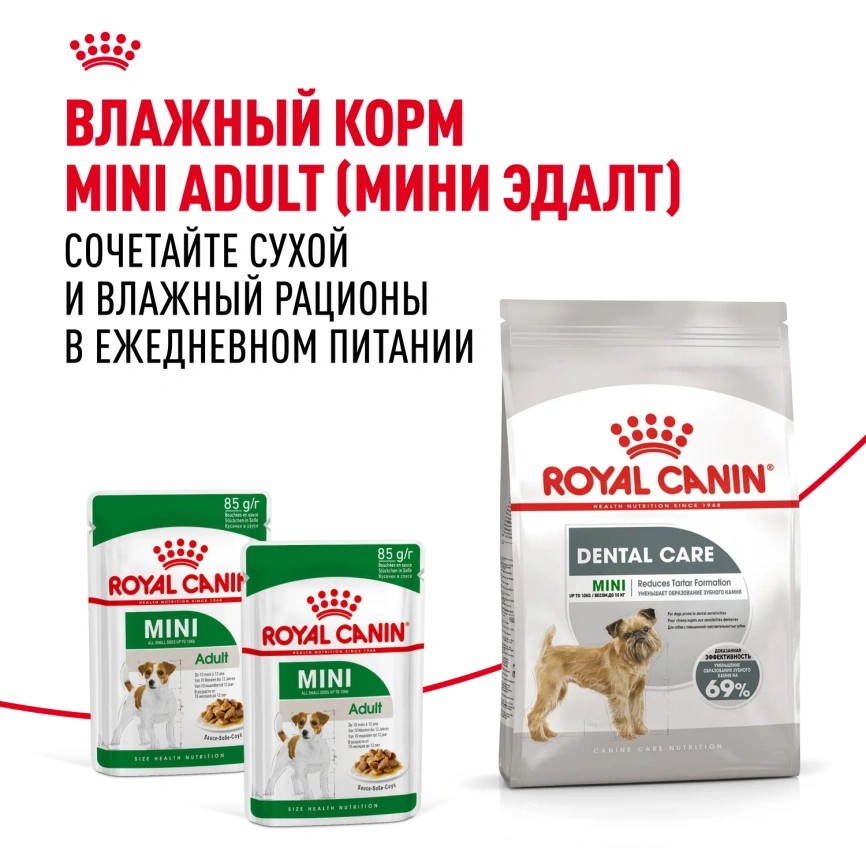 Сухой корм Royal Canin Mini Dental Care для собак, 1 кг фото 8