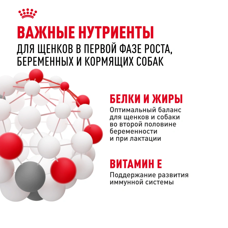 Сухой корм Royal Canin Medium Starter Mother & Babydog для щенков и кормящих сук, 4 кг фото 5
