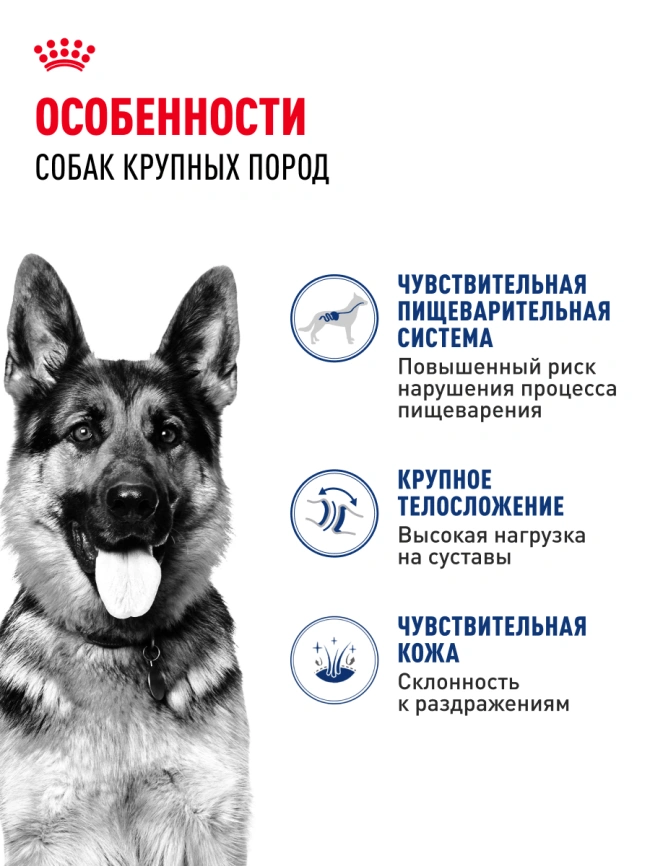 Сухой корм Royal Canin Maxi Adult для собак, 3 кг фото 14