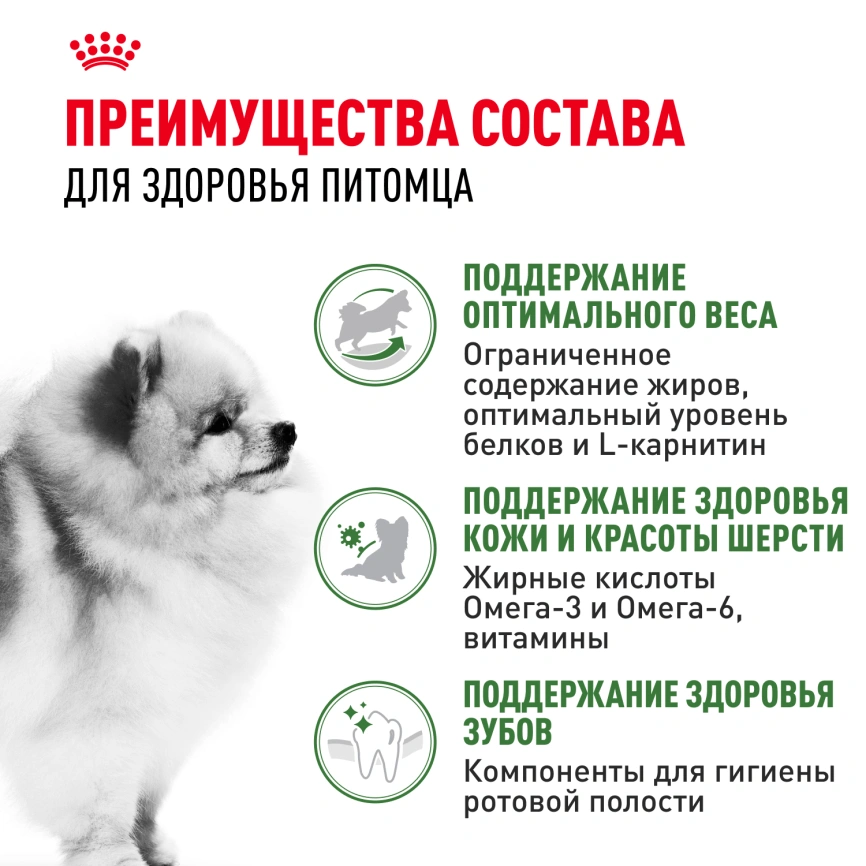 Сухой корм Royal Canin Mini Indoor Adult для собак, 500 г фото 3