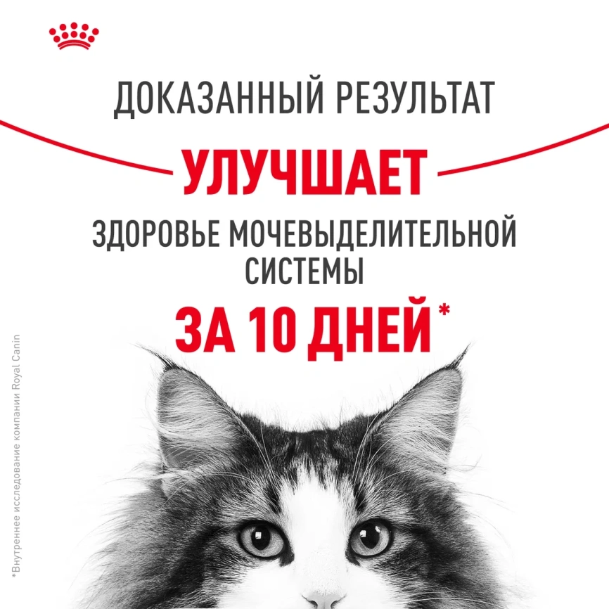 Сухой корм Royal Canin Urinary Care для поддержания здоровья мочевыделительной системы кошек, 4 кг фото 4
