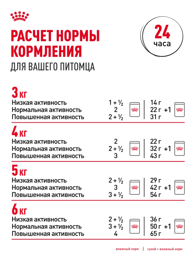 Влажный корм Royal Canin Ageing 12+ в соусе для стареющих кошек старше 12 лет, пауч, 85 г фото 12