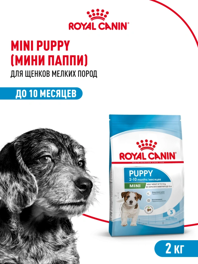Сухой корм Royal Canin Mini Puppy для щенков, 2 кг фото 13
