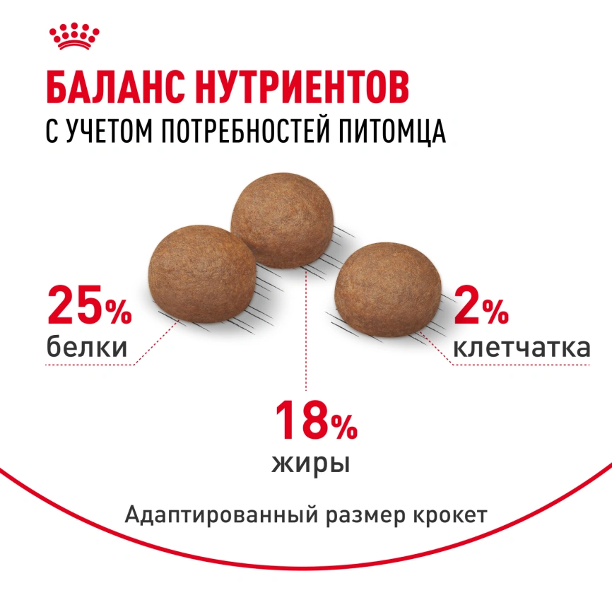 Сухой корм Royal Canin Medium Digestive Care для собак, 12 кг фото 4