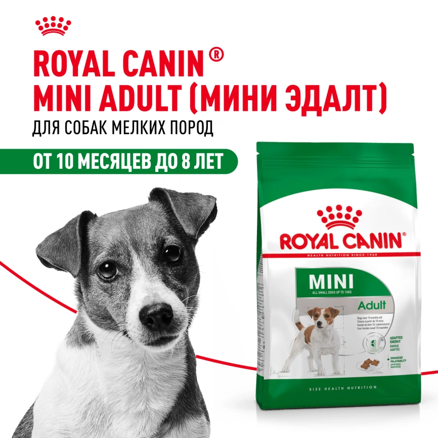Сухой корм Royal Canin Mini Adult для взрослых собак, 8 кг фото 14