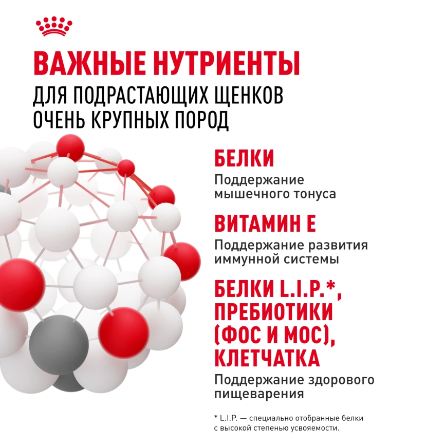 Сухой корм Royal Canin Giant Junior для щенков, 15 кг фото 4