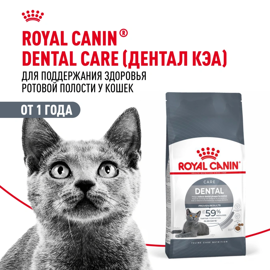 Сухой корм Royal Canin Dental Care для кошек, 1.5 кг фото 14