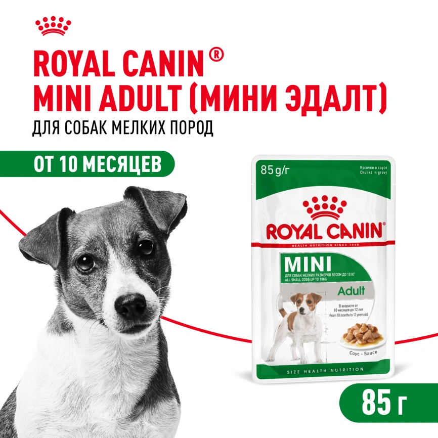 Влажный корм Royal Canin Mini Adult в соусе для взрослых собак мелких пород старше 10 месяцев, пауч, 85 г фото 1