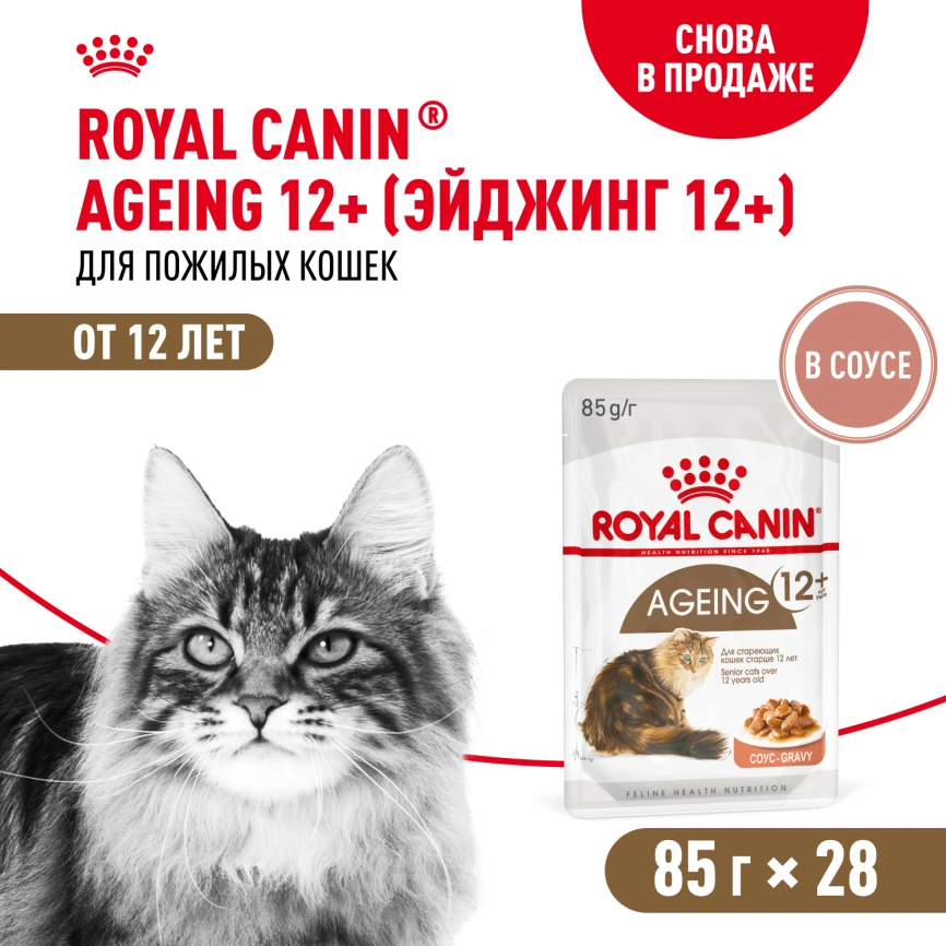 Влажный корм Royal Canin Ageing 12+ в соусе для стареющих кошек старше 12 лет, пауч, 85 г фото 15