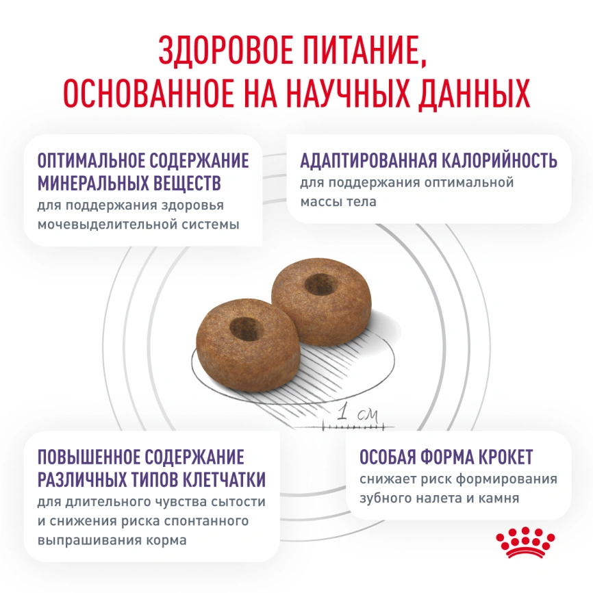 Сухой корм Royal Canin Neutered Adult Small Dogs для стерилизованных собак мелких пород, 800 г фото 3