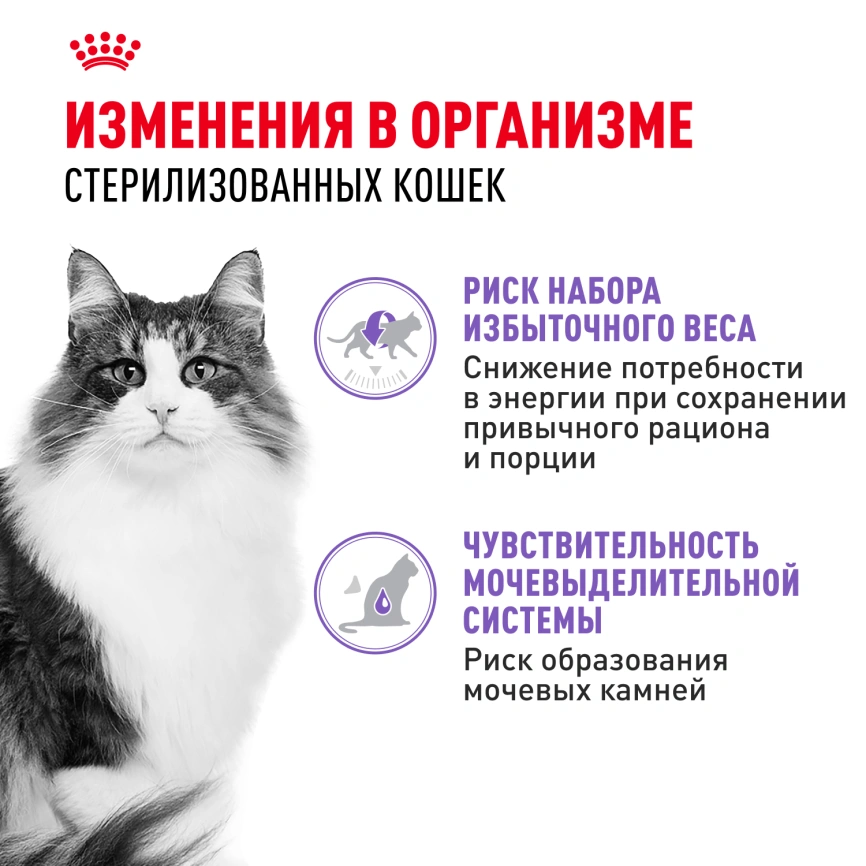 Влажный корм Royal Canin Sterilised паштет для стерилизованных кошек старше 1 года, пауч, 85 г фото 3