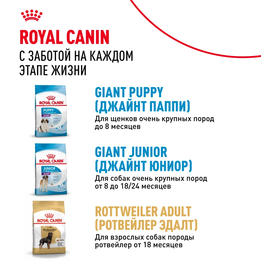Сухой корм Royal Canin Giant Adult для собак, 4 кг фото 9