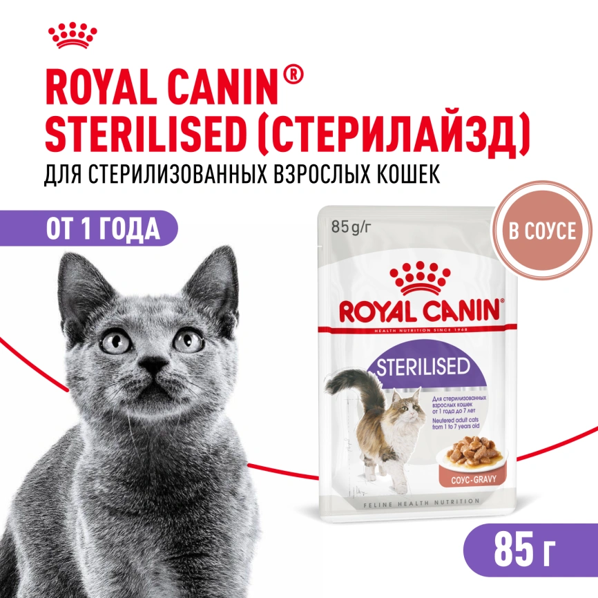 Влажный корм Royal Canin Sterilised в соусе для стерилизованных кошек старше 1 года, пауч, 85 г фото 1