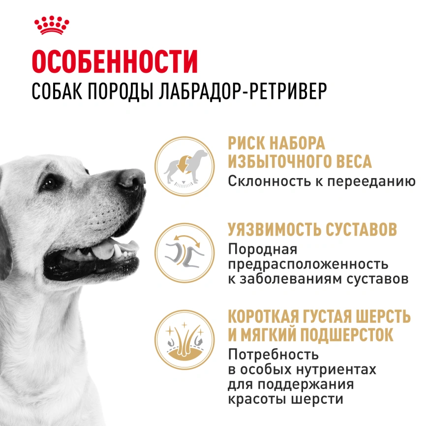 Сухой корм Royal Canin Labrador Retriever Adult для собак, 3 кг фото 2