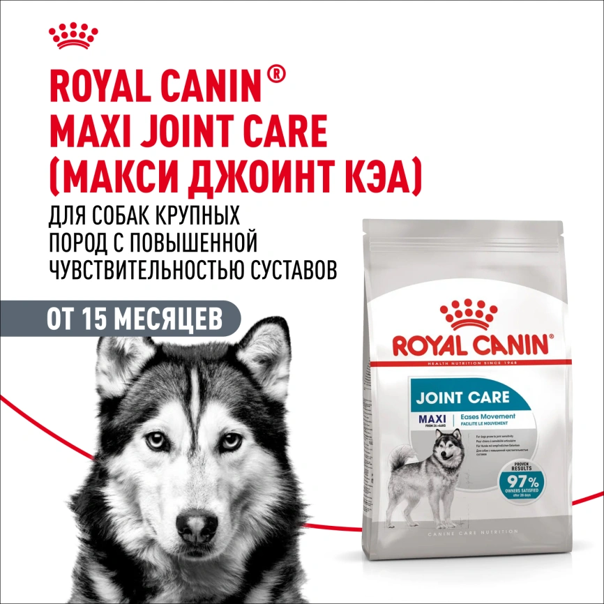 Сухой корм Royal Canin Maxi Joint Care для собак, 10 кг фото 13