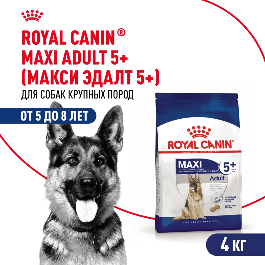 Сухой корм Royal Canin Maxi Adult 5+ для собак, 4 кг фото 1