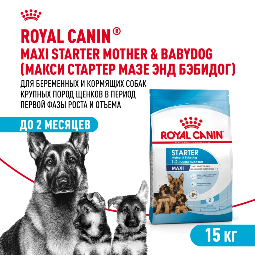 Сухой корм Royal Canin Maxi Starter Mother & Babydog для собак, 15 кг фото 1