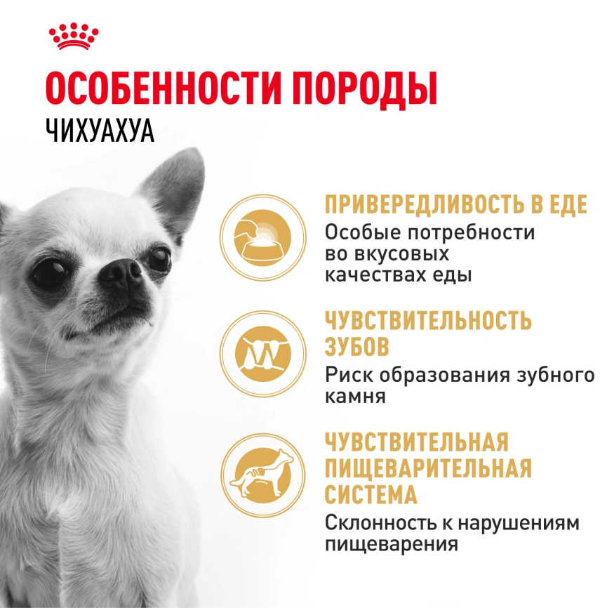 Сухой корм Royal Canin Chihuahua Adult для собак породы чихуахуа, 3 кг фото 2