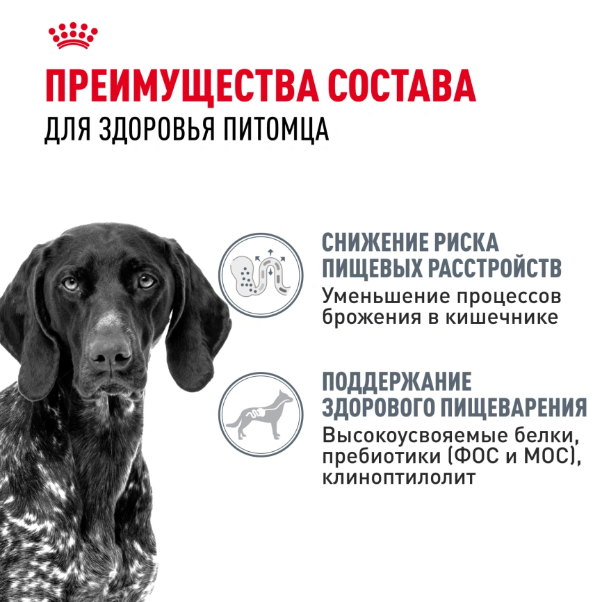 Сухой корм Royal Canin Maxi Digestive Care для собак, 12 кг фото 3