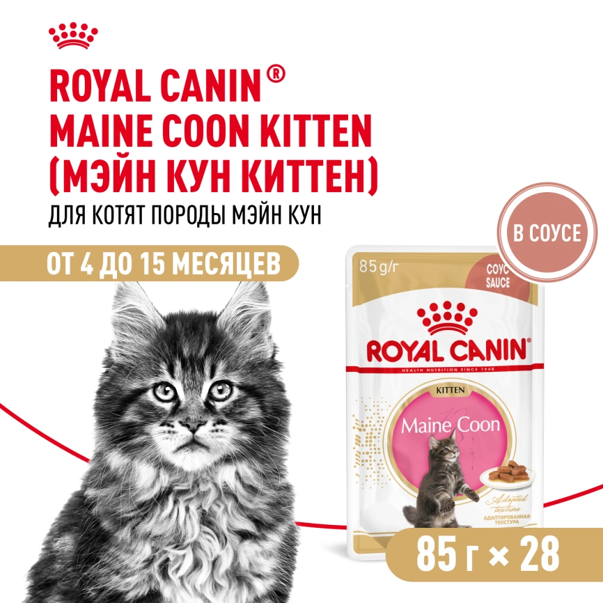 Влажный корм Royal Canin Maine Coon Kitten в соусе для котят породы мейн-кун и других крупных пород старше 3 месяцев, пауч, 85 г фото 12