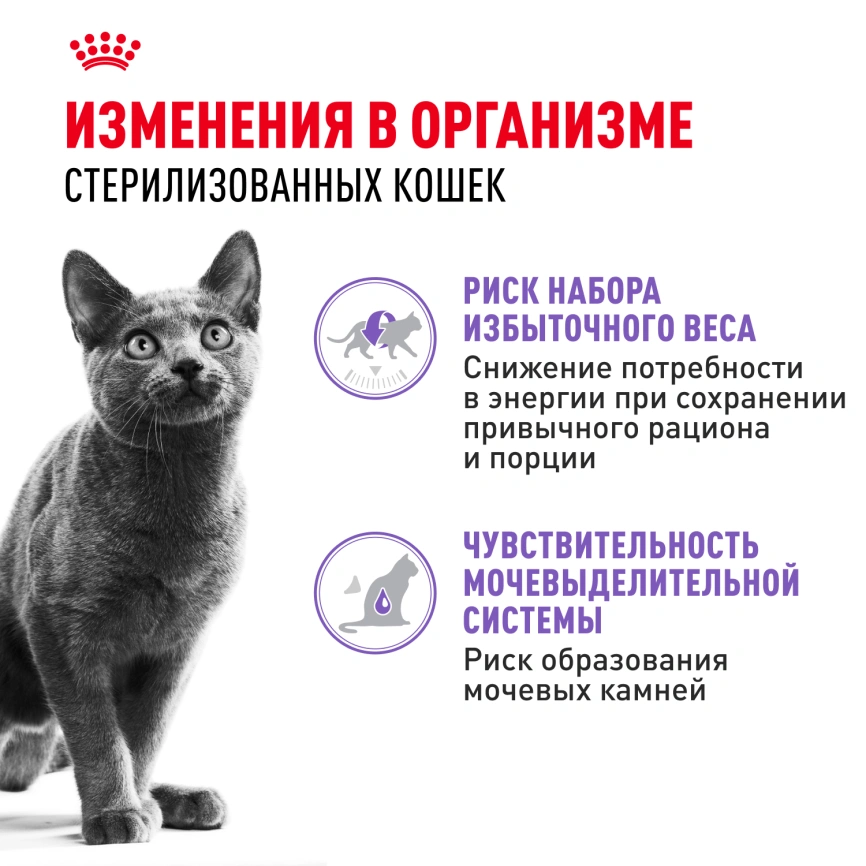 Влажный корм Royal Canin Sterilised в желе для стерилизованных кошек старше 1 года, пауч, 85 г фото 10