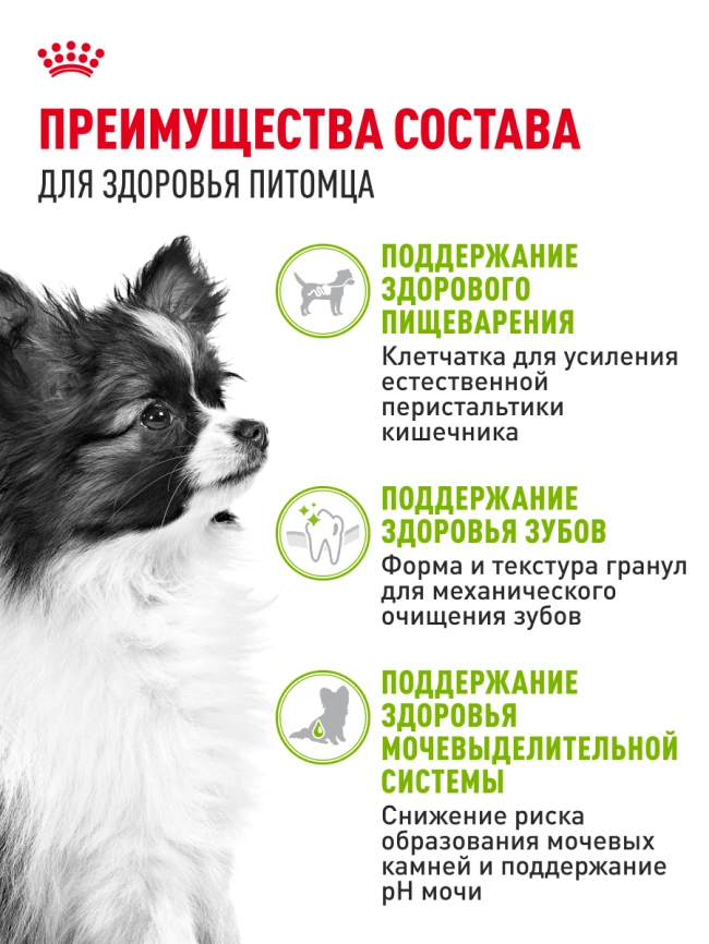 Сухой корм Royal Canin X-Small Adult для собак, 500 г фото 18