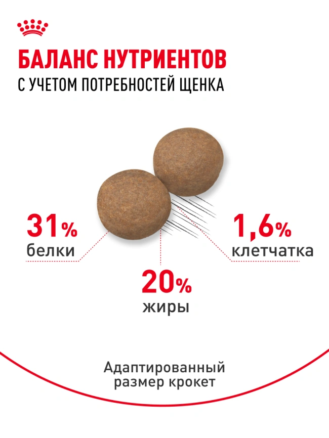 Сухой корм Royal Canin Mini Puppy для щенков, 800 г фото 22