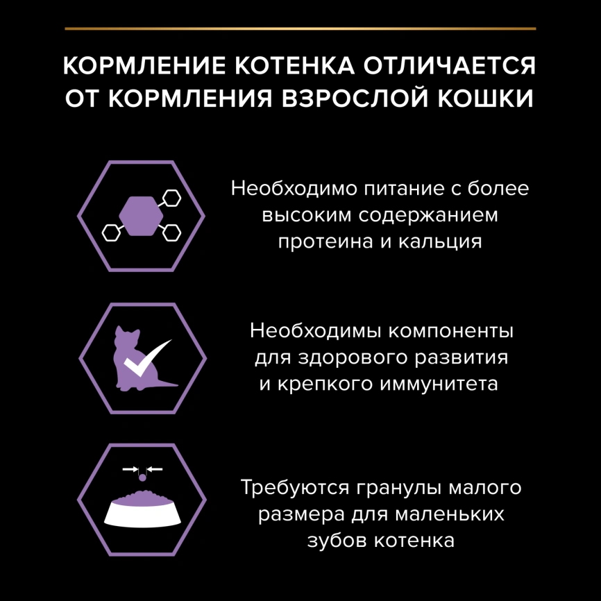 Влажный корм Purina Pro Plan Healthy Start для котят, с говядиной в соусе, 85 г фото 3
