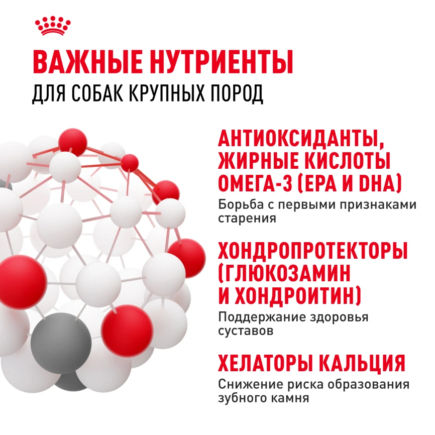 Сухой корм Royal Canin Maxi Adult 5+ для собак, 15 кг фото 5