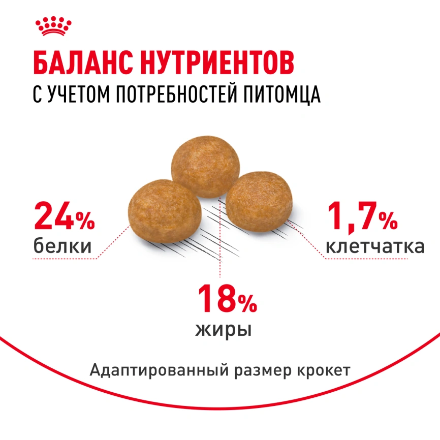 Сухой корм Royal Canin X-Small Adult для собак, 3 кг фото 4
