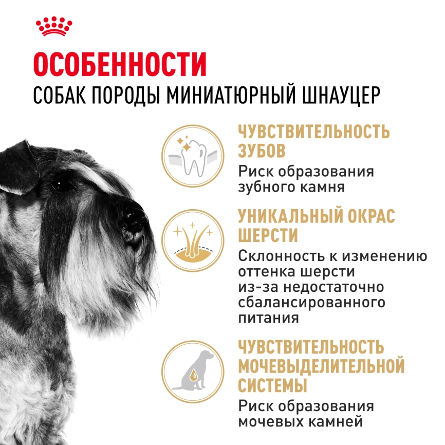 Сухой корм Royal Canin Miniature Schnauzer Adult для собак породы миниатюрный шнауцер, 3 кг фото 2