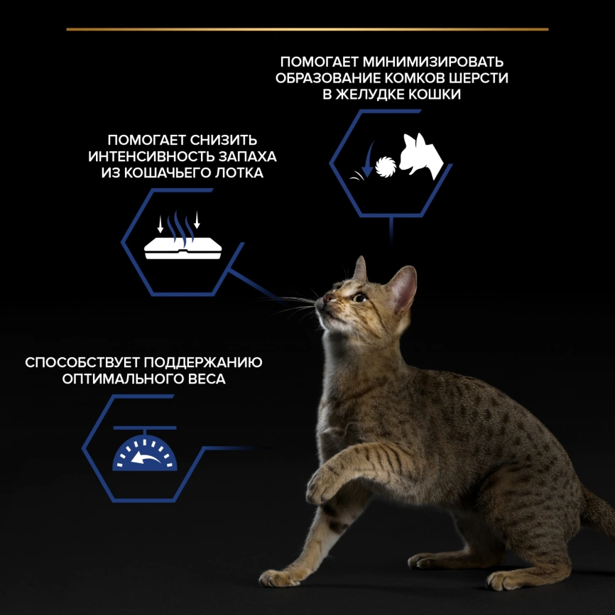 Влажный корм Purina Pro Plan Adult Housecat для взрослых кошек в помещении, с индейкой в желе, 85 г фото 2
