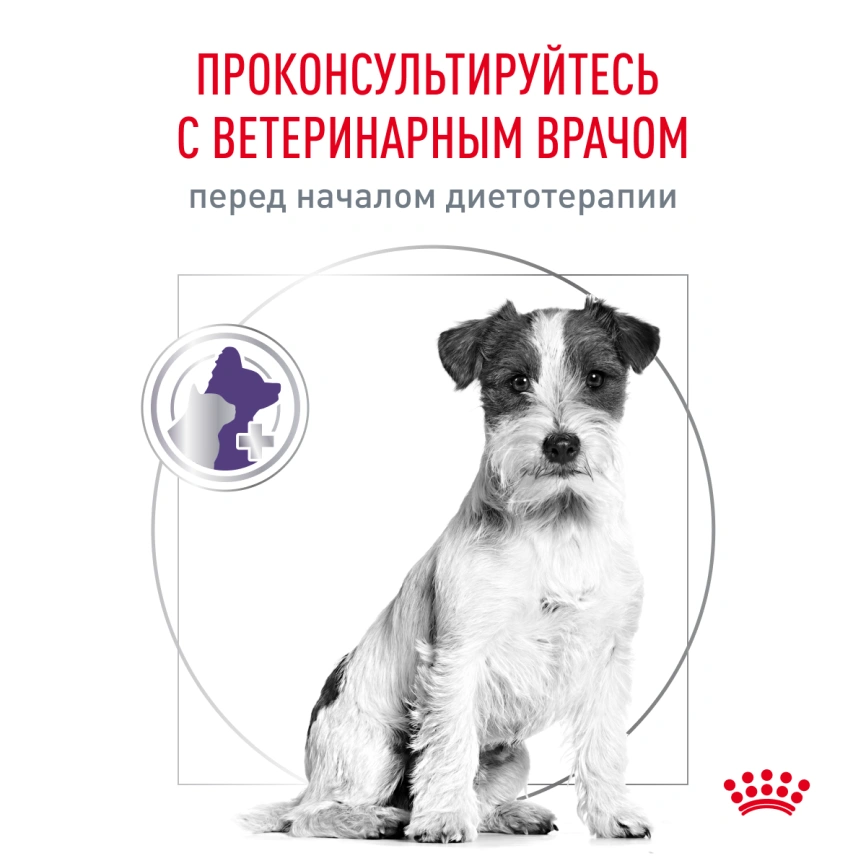 Сухой корм Royal Canin Neutered Adult Small Dogs для стерилизованных собак мелких пород, 800 г фото 7